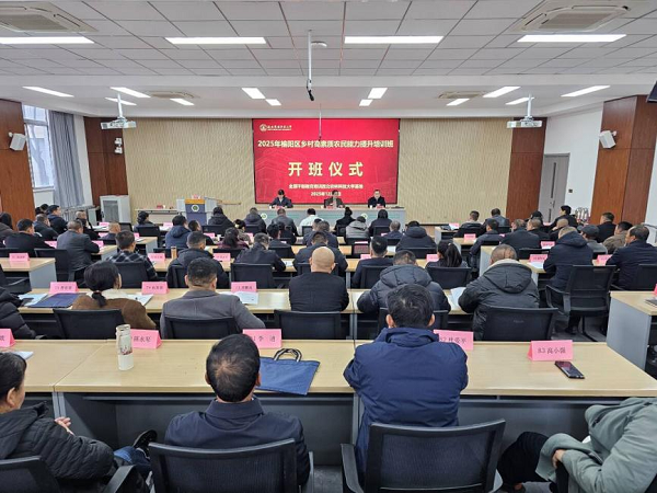 图片11.png