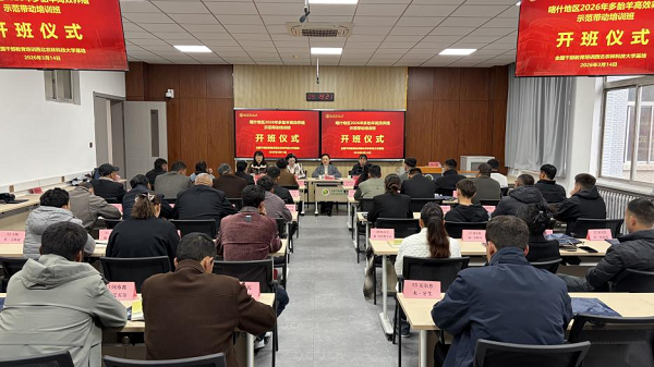 图片15.png