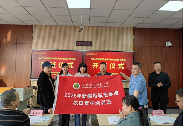 图片18.png