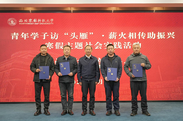 图片6.png