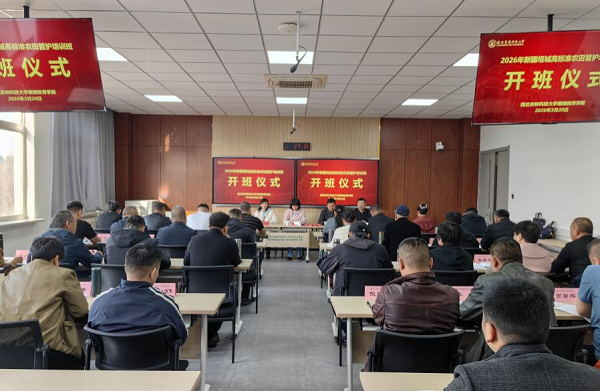图片17.png