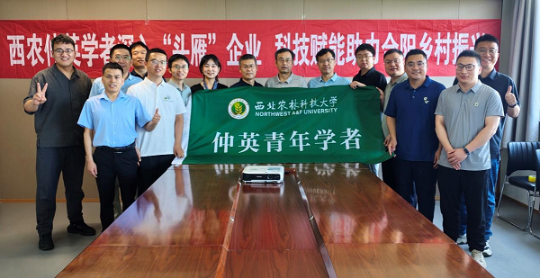 图片4.png