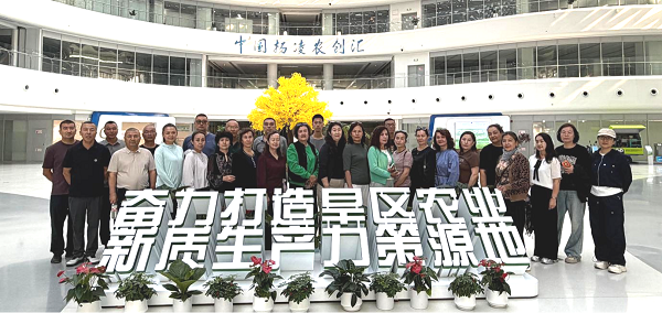 图片6.png
