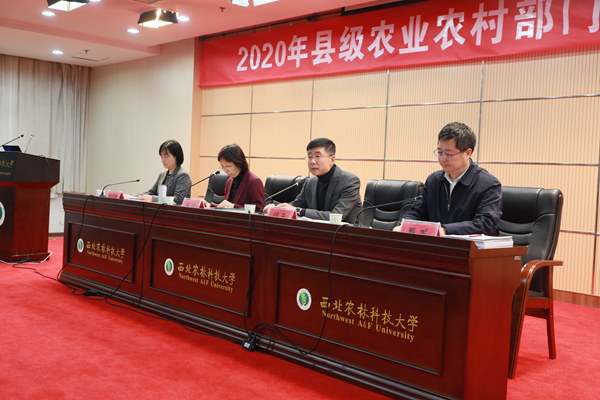 621a129bcf7248199cbe8bf773bf2120.png 图片2.png